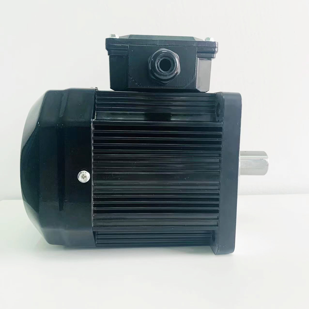 Low Speed High Torque AC Magnet Electric Motors