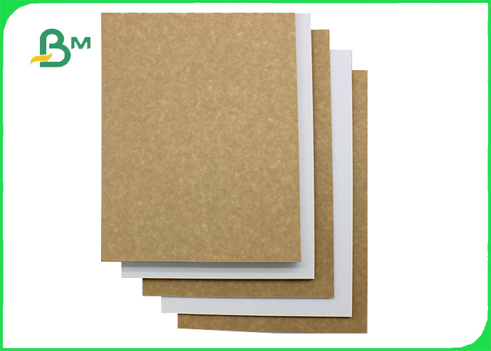 200gsm 250gsm Compostable Kraft Paper For Food Tray 790mm 890mm Signle Coated