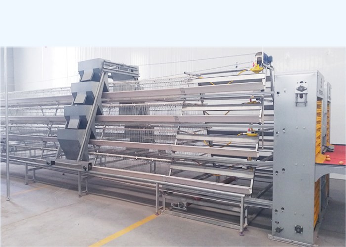 Professional H Type Layer Cage Multi - Tiers Poultry Brooder Cages
