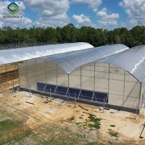  Multi Span Arch Roof Polycarbonate Greenhouse With Intelligent Systems Manufactures