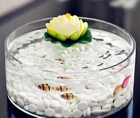 hand blow glass terrarium glass fish tank Hydroponics container