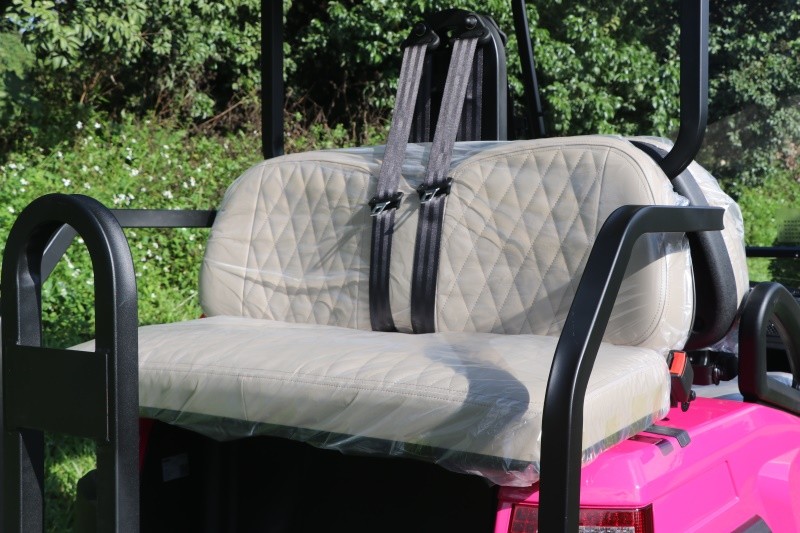 M series 48V 2+2 Seater Golf Buggy with Trojan Battery