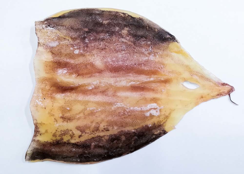 Sweet Squid Body Raw Material 45-55% Moisture For Fresh Grilled Squid