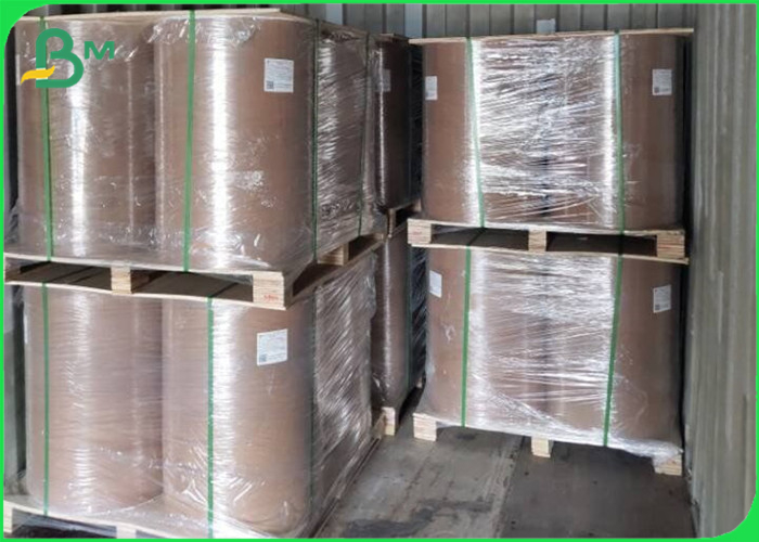 Greaseproof 40gsm 50gsm PE Coated Kraft Paper Roll For Bread packaging bag
