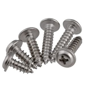 Stainless Material Non-Standard Customized Self Tapping Self Drilling Screws