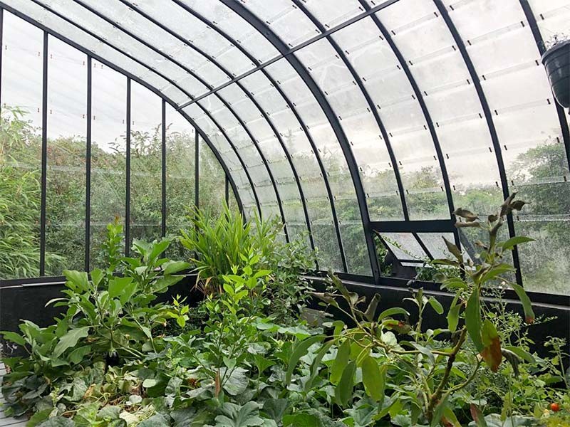 Tempered Pattern 3.2mm 4mm Greenhouse Roof Cover Glass for Vagetable Greenhouse