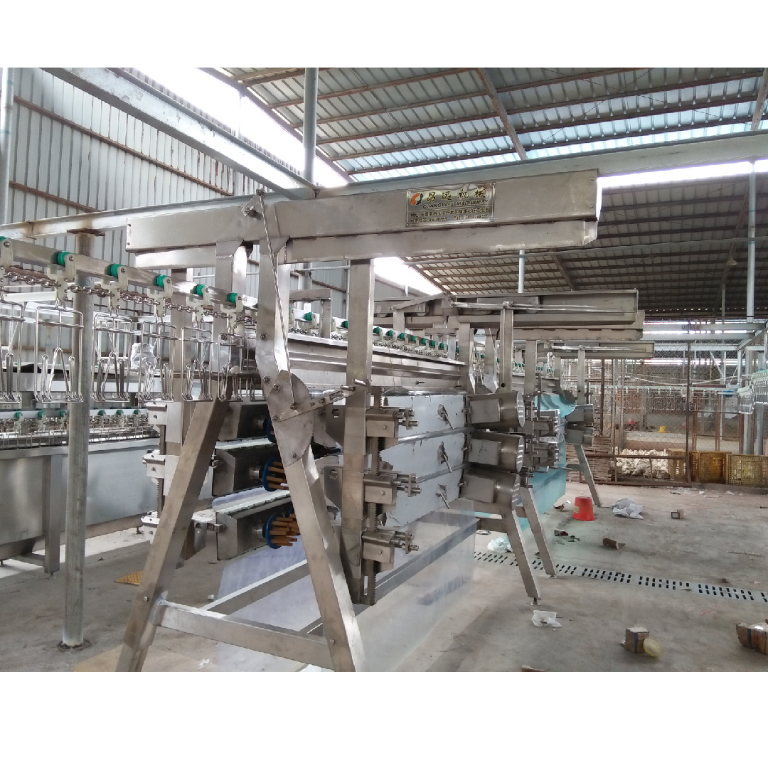 Stainless Steel 304 Poultry Plucking Machine 1500BPH Poultry Processing Equipment