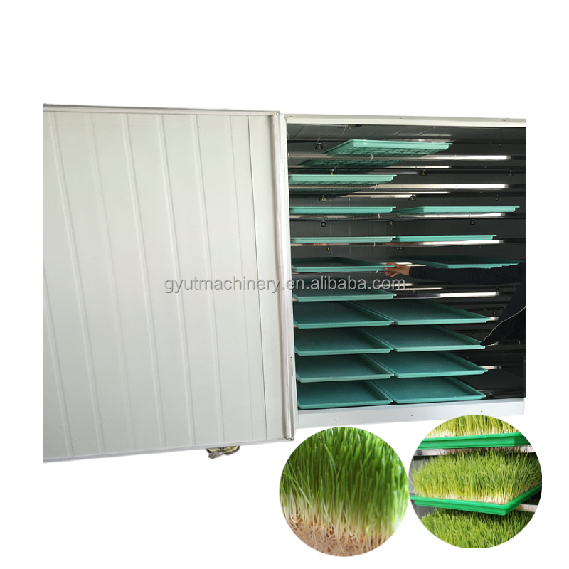 Barley Sprout Machine Room for Hydroponic Fodder System 4600 * 1400 * 1700mm 2024
