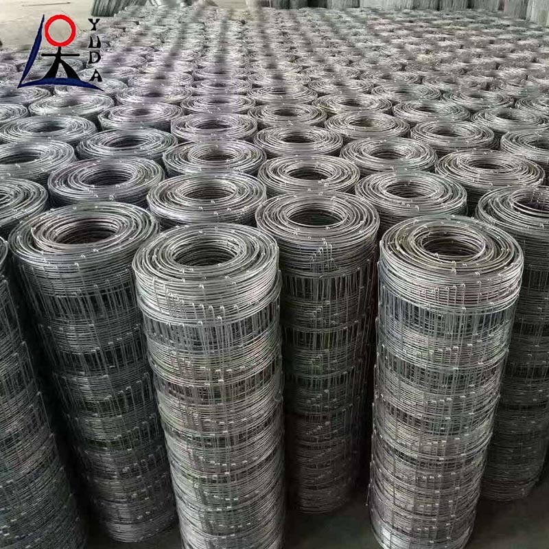 Electro Galvanised Or Hot Dip Galvanised Field Fence Corrosion Resistant