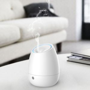 Unique Shape 100ml Ultrasonic Aroma Diffuser Air Humidifier