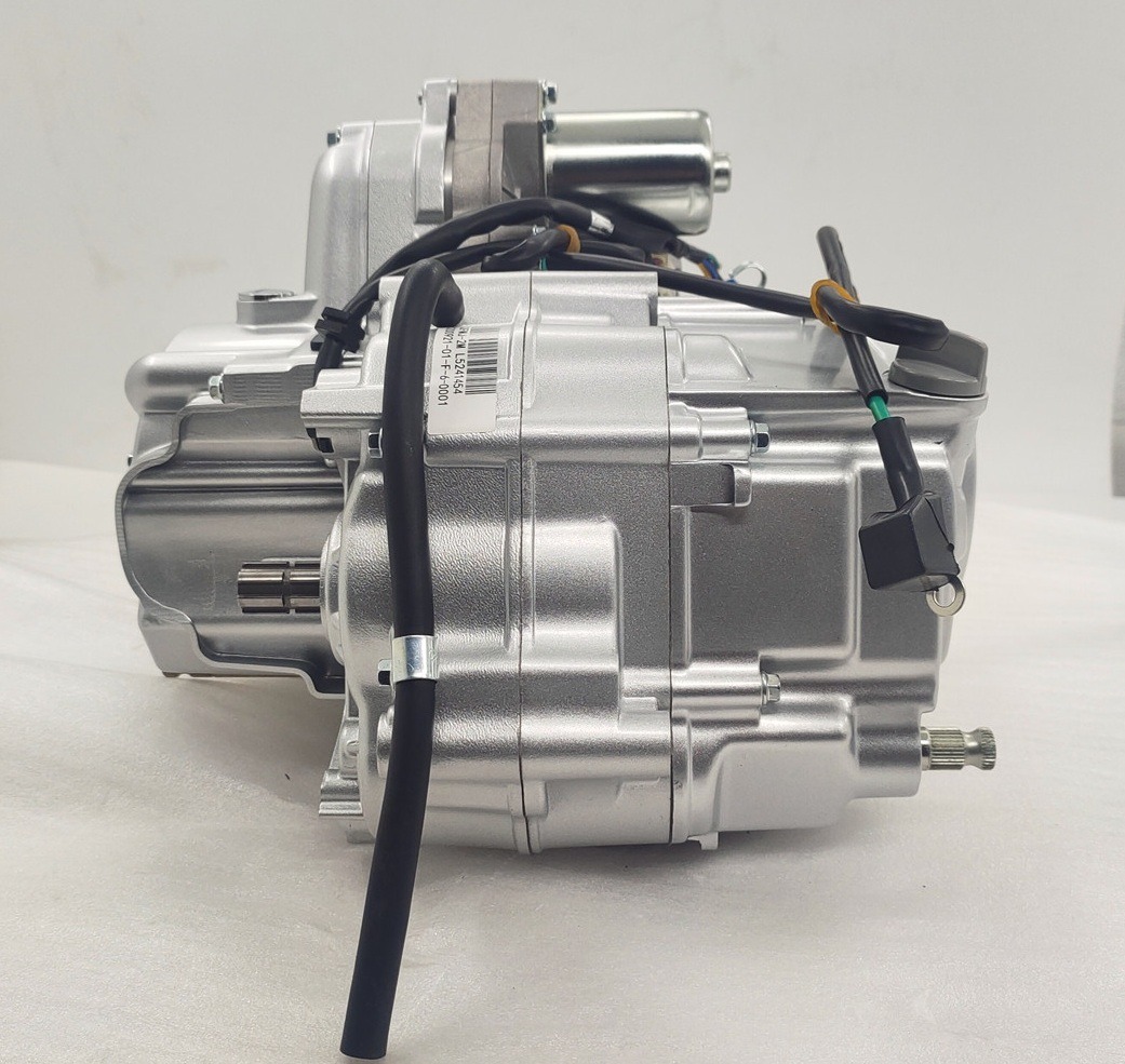 Silver DAYANG LIFAN 125CC Nature AIR-cooled Motorcycle Engine Assembly 3 Wheel Cargo Tricycle Single Cylinder Style Origin