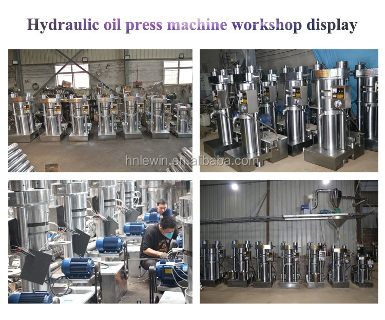 Automatic Cold Hydraulic Oil Press Machine Mustard And Filter Machinery