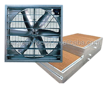 Greenhouse Plastic Sheet/PC Sheet Greenhouse with Stable Structure and Vents