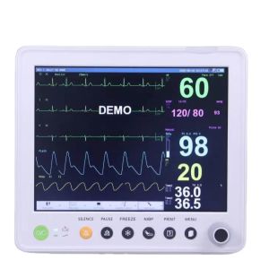  12.1'' Color TFT LCD Multiparameter Patient Monitor with 1 Year Warranty and Compact 30*27*30CM Design Manufactures