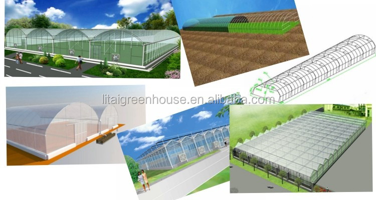 Single-Span Agricultural Greenhouses for Commercial Stable Structure Easily Assembled