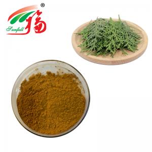 China 10:1 Herbal Plant Extract Cacumen Platycladus Orientalis Extract on sale