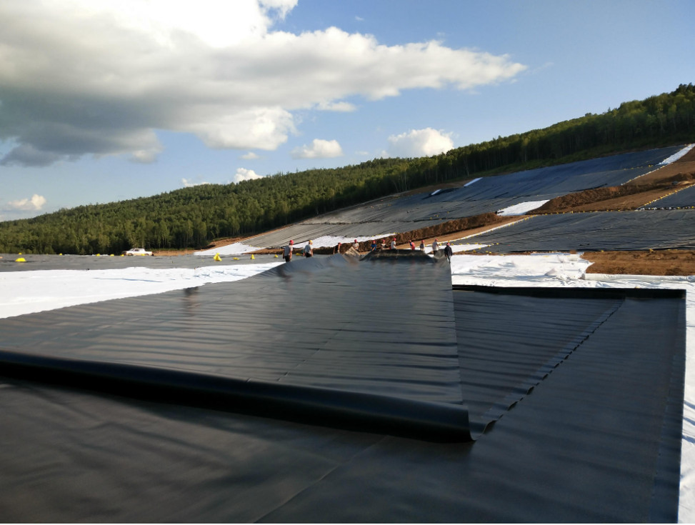 Length Client's Requirement HDPE Geomembrane Waterproof for Fish Farm Pond Liner Sheet