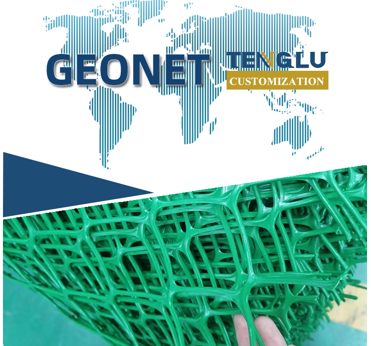 Roadbed and Tunnel Engineering Green HDPE Geonet with Anti-Ultraviolet Protection