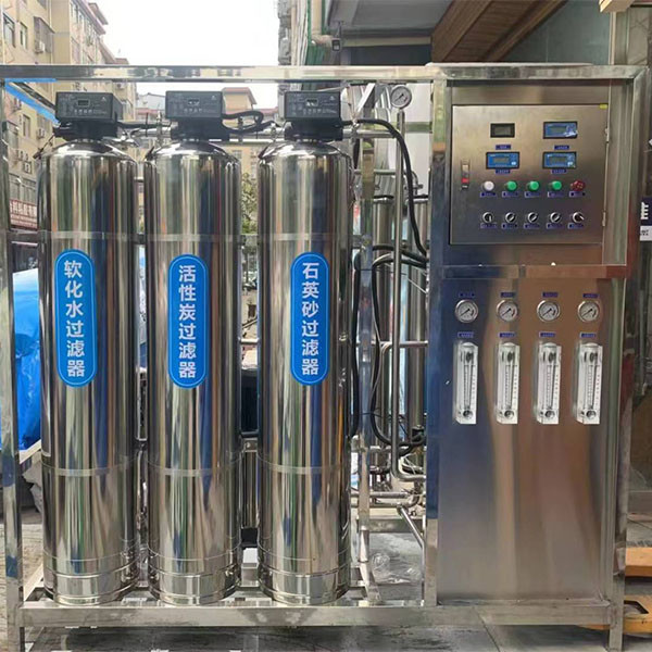 0.5 tons two-stage reverse osmosis plant for Purifying Mineral Water