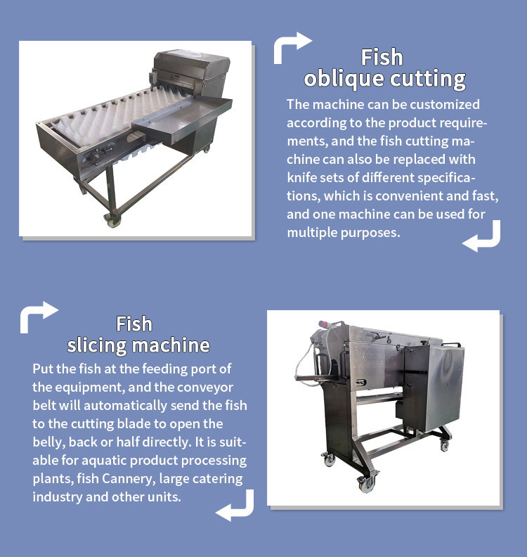 380v Fish Descaling Machine With Ce Approval