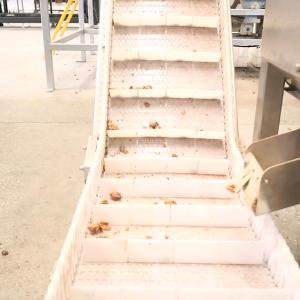 CE Certified Dry Cracking Pecan Shelling Machine 100000 Nuts Capacity 220V