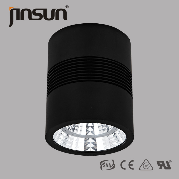 Black IP65 Energy saving hign lumend 30w led downlight surface mounted home application 3&5 years warranty