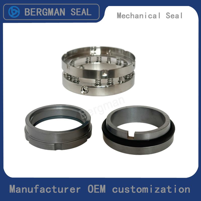 BERGMAN C8U C8B 25mm-100mm G60 G4 G6 G9 G13 G16 BS Bo BP Pump Mechanical Seal