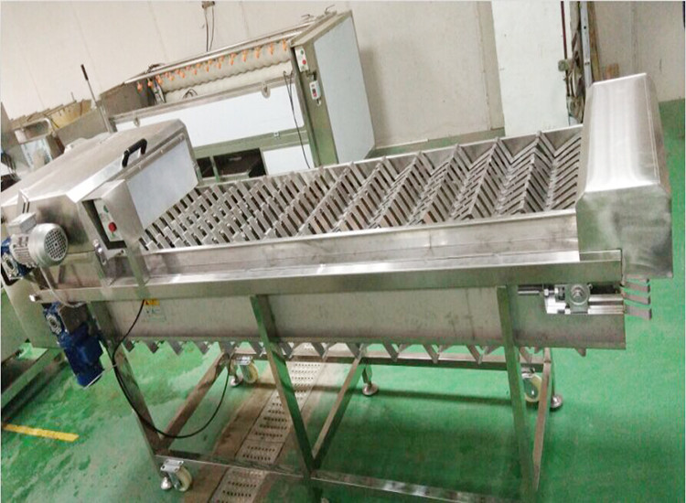 automatic eassy operation cassava/radish/yam cut-off machine