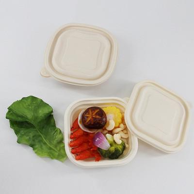 1200ML 145*145*45mm Biodegradable Takeaway Boxes 6 Compartment Disposable Food