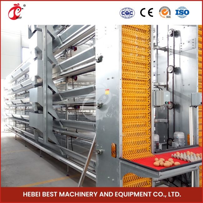 Hot Galvanized 20 Years Lifespan Full Automatic Feeding Manure Cleaning And Egg Collection System Cage Sell Adela
