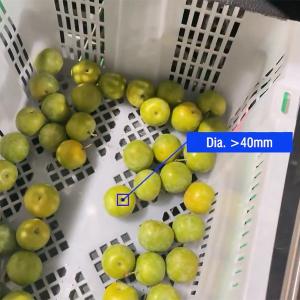 360° Rotational Scanning Plum Application 8 Lanes Industrial Automation System