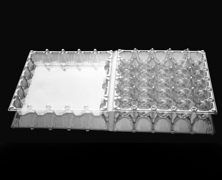 Transparent Plastic Egg Packaging 30 Holes Large Disposable Bulk Plastic Egg Cartons