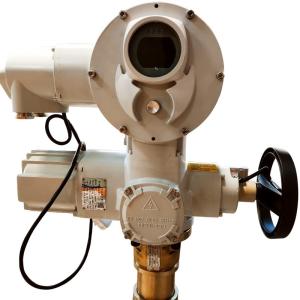 Intelligent Electric Motor Linear Actuator Explosion Proof ZXC Series