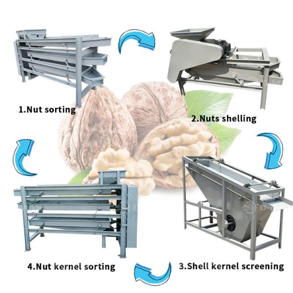 Professional Palm Kernel Cracking And Separating Machine For Grade Nuts Processing