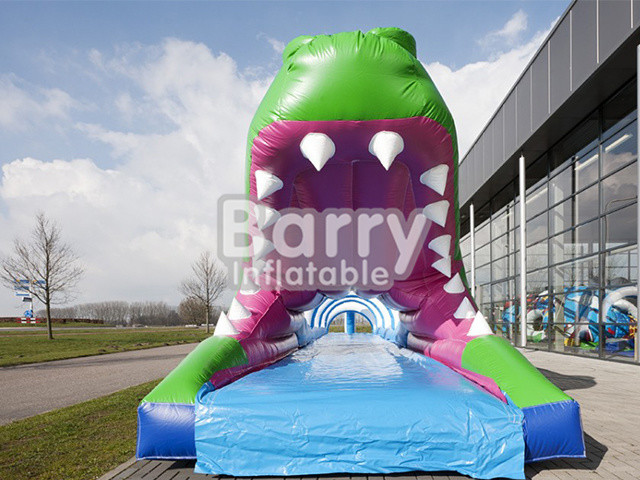 Durable Plato PVC Tarpaulin Inflatable Water Slides For Summer Inflatable Game