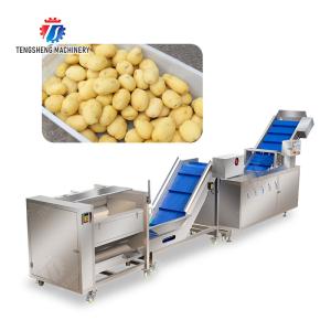 Roller brush bubble washing production line Fruit Vegetable FOOD processing
