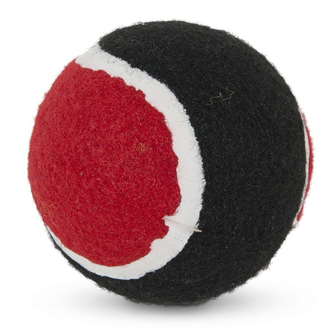 colorful Tennis Balls Sports
