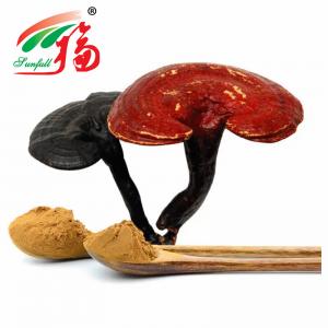 China Reishi Mushroom Extract 20% Polysaccharides For Food Supplements on sale