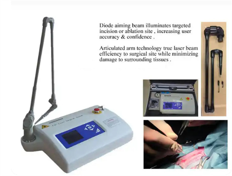 10600nm Veterinary Co2 Laser Wart Removal Surgical 15w Device For Dogs