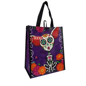 China Durable Foldable Pp Shopping Bag  With Personalized Handle on sale