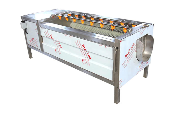 potato carrot ginger peeling machine brush wash machine