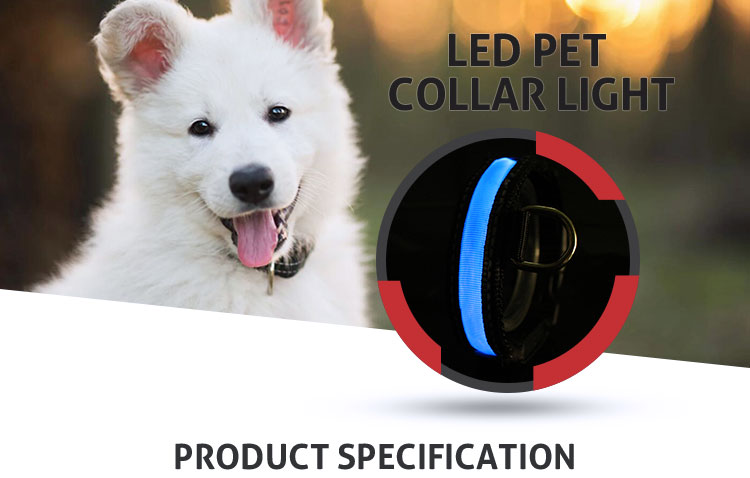 Factory Supply Neck Designs Light Strip Leather Dog Collar