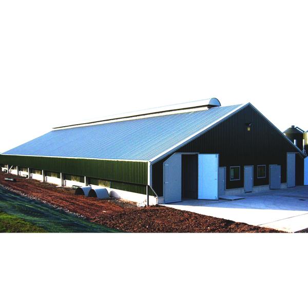 Industrial-Style Large-Scale Steel Structure Chicken Farming Warehouse for