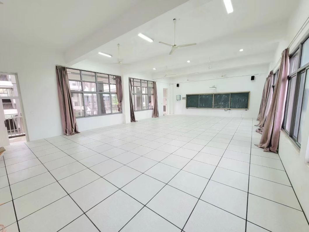 Wearproof Customized Access Floor