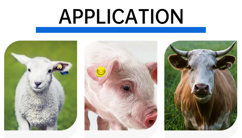 Animal Tracking Electonic Ear Tags 134.2khz Rfid For Animal Identification