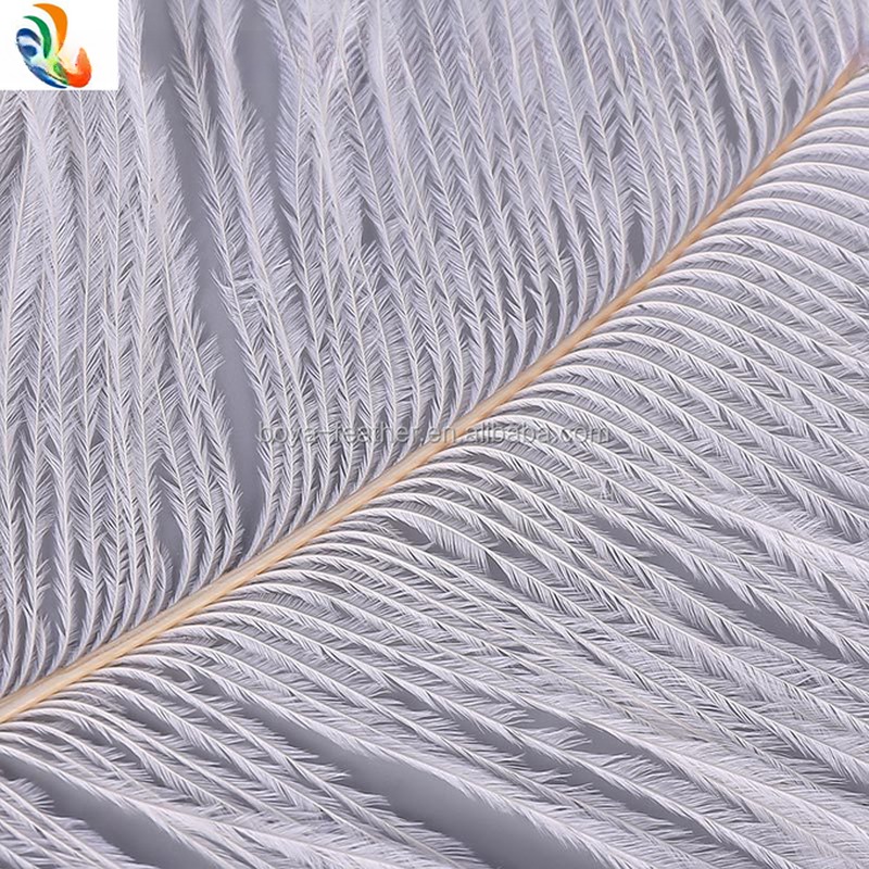 Ostrich Feather for Millinery Supplies EMS Shipping Party and Carnival Decoration