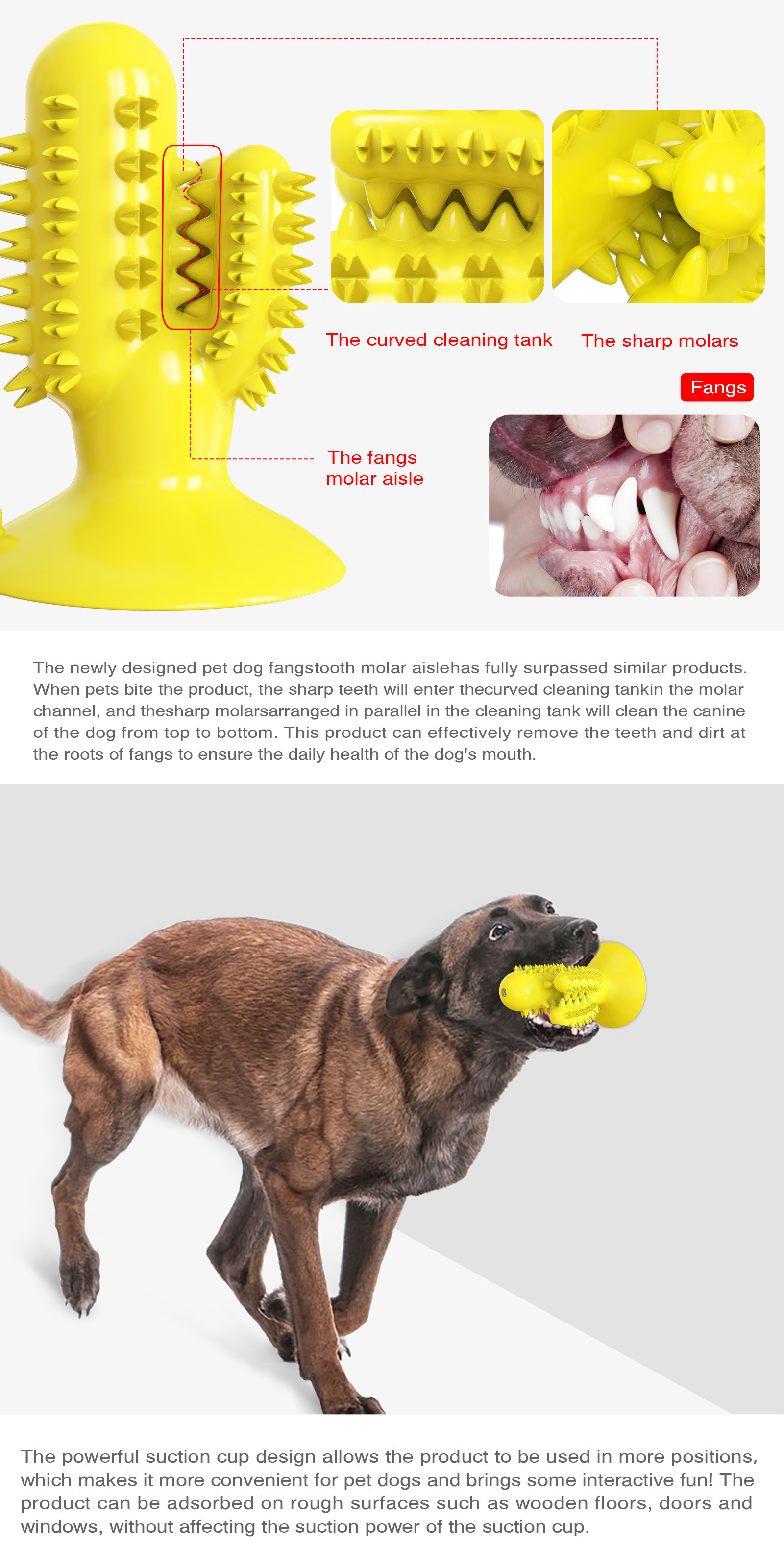 Cactus Shape Interactive Pet Toys Molar Teeth Dog Dental Chew Toy TPR 125g