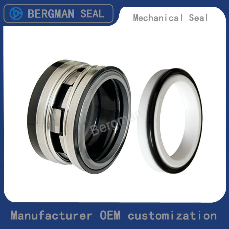 Durable BERGMAN Replaces John Crane 2100-K 12mm-100mm G60 G4 G6 G9 G13 G16 BS Bo BP Pump Mechanical Seal