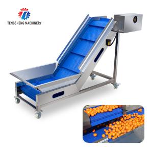 Washing Hoisting machine Fruit Orange Vegetable Apple pineapple Ginger Potato