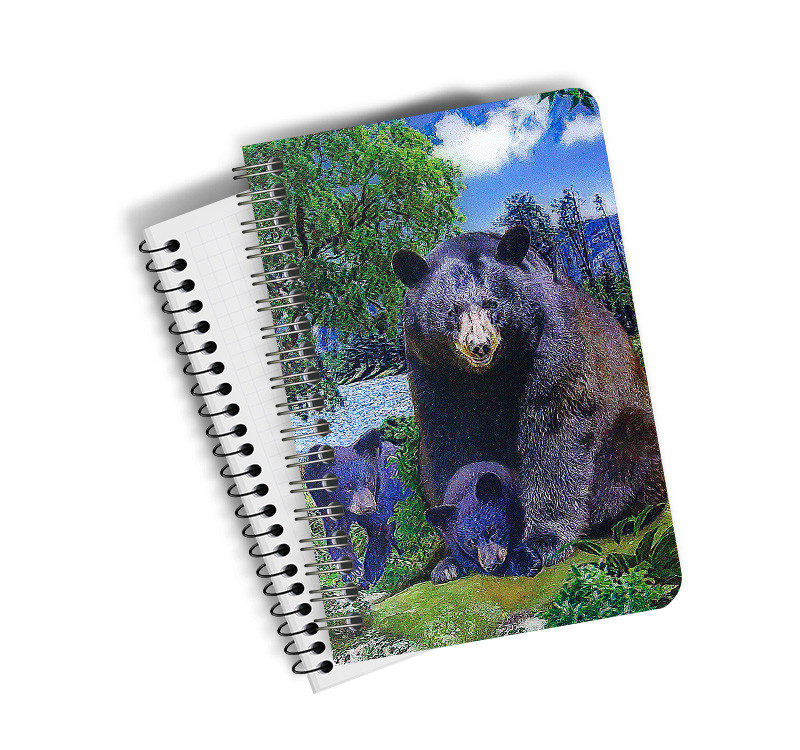 Free Sample A5 Size 3d Lenticular Notebook Cover 0.6mm Thickness